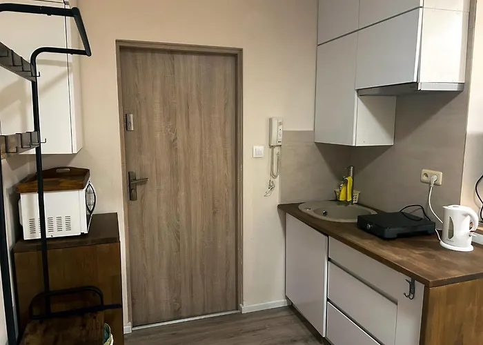 Apartamento Nowoczesne Z Ogrodem I Parkingiem Poznań
